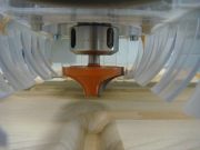 WC_Sitz_CNC_Fraese_CNC_Routers_Formferaeser_Wood_Massivholz_Buche_3.jpg
